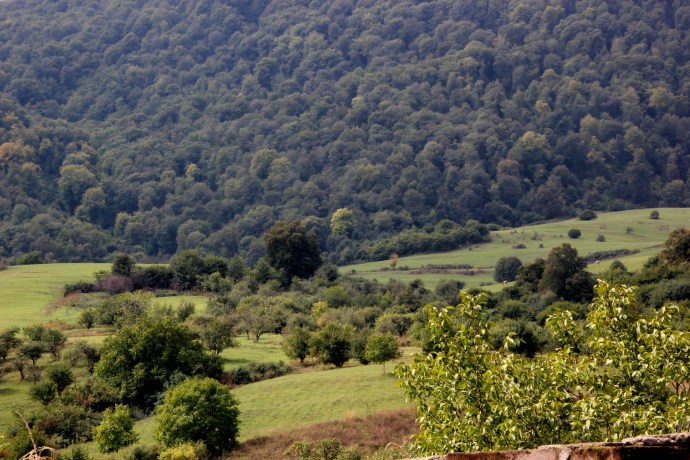 Green green grass of Kirants, Armenia