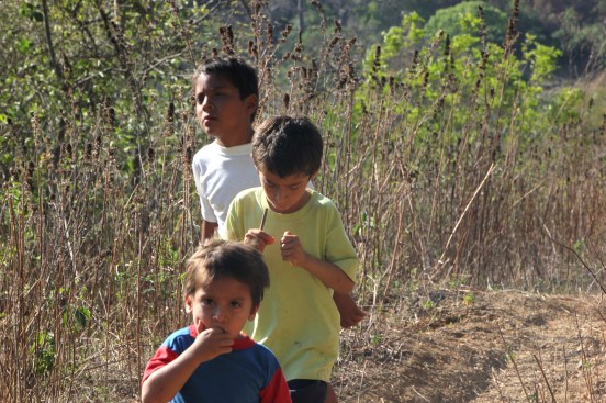 The Santos boys walking through the dry forest.