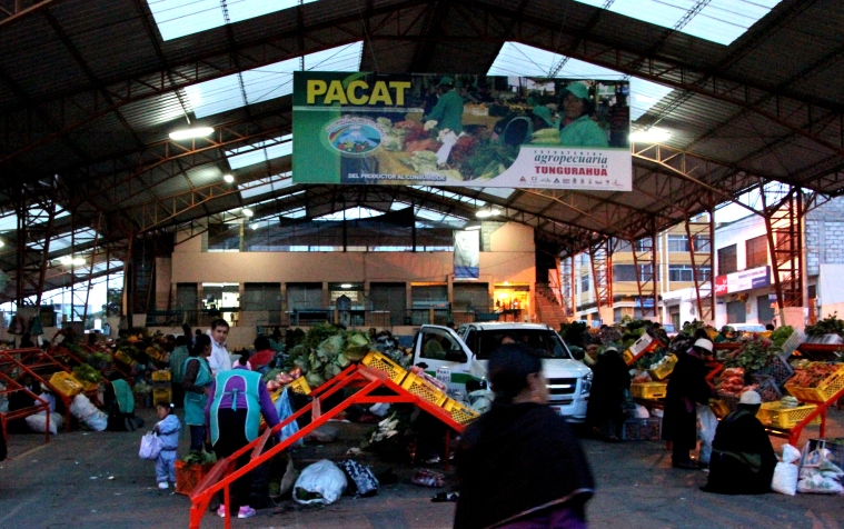 pacat market